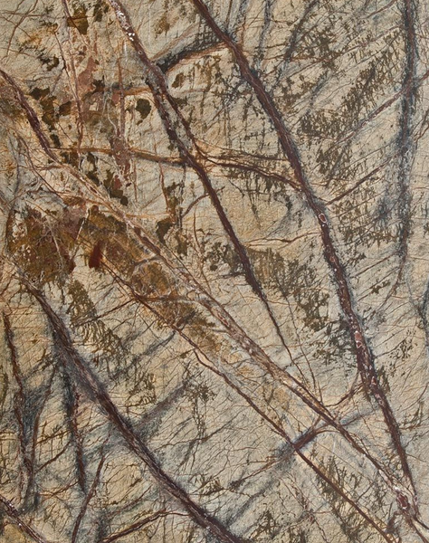 Płytki Marmur Rain Forest Brown Polerowany 61 x 30,5 x 1,2 cm