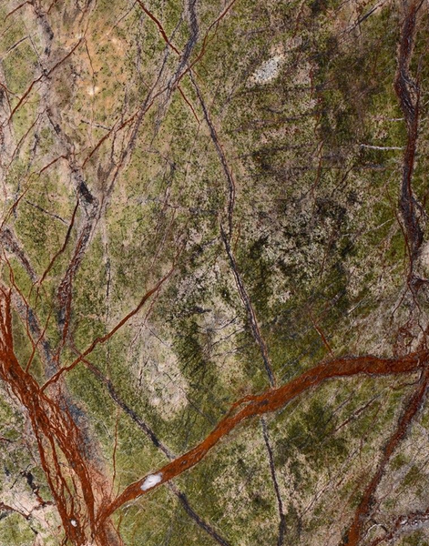 Płytki Marmur Rain Forest Green Polerowany 61 x 30,5 x 1,2 cm