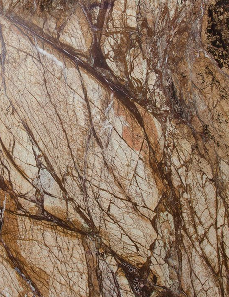 Płytki Marmur Rain Forest Brown Szczotkowany 61 x 30,5 x 1,2 cm